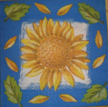 005 Sonnenblumen - 3 lagig (rot)